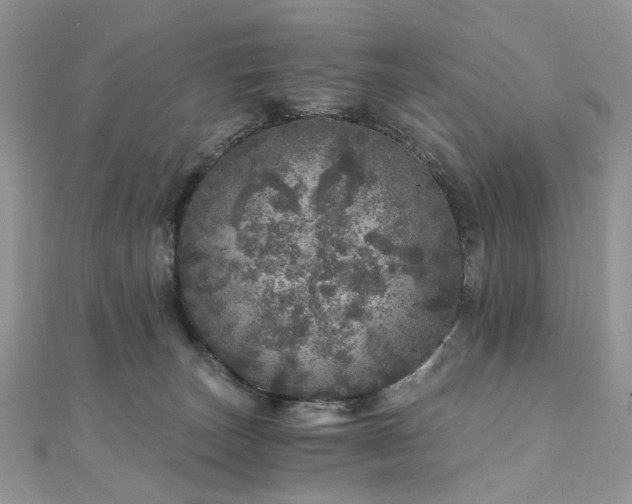 X0000110870179200906181210