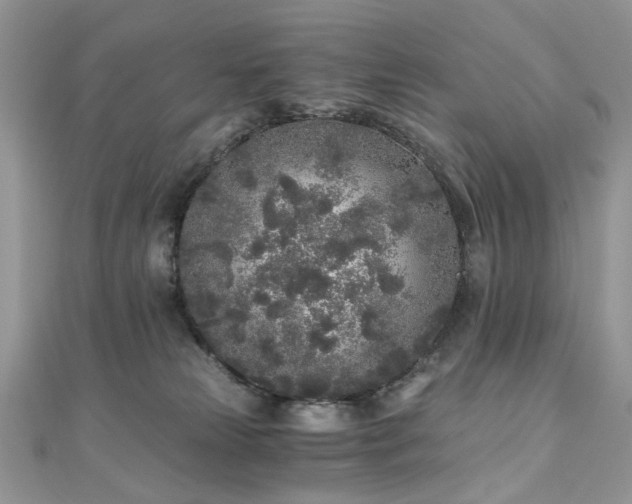 X0000110870181200906181210