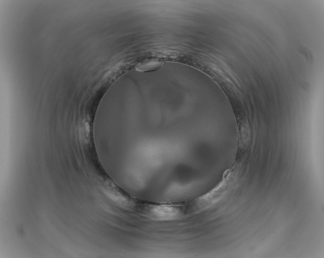 X0000110870183200906181210