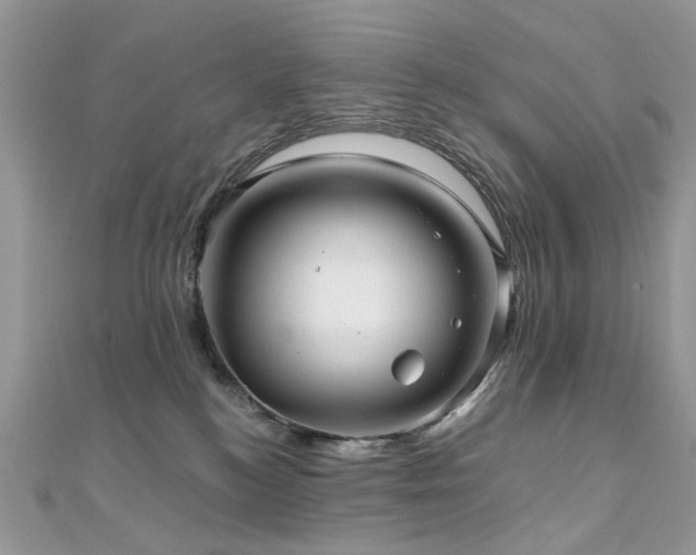 X0000110870184200906181210