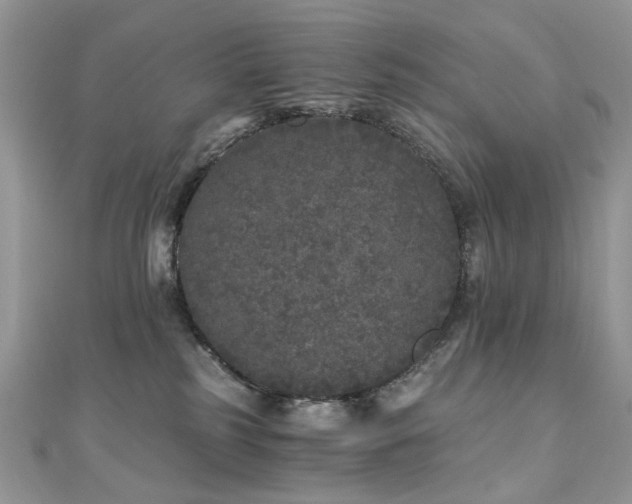 X0000110870185200906181210