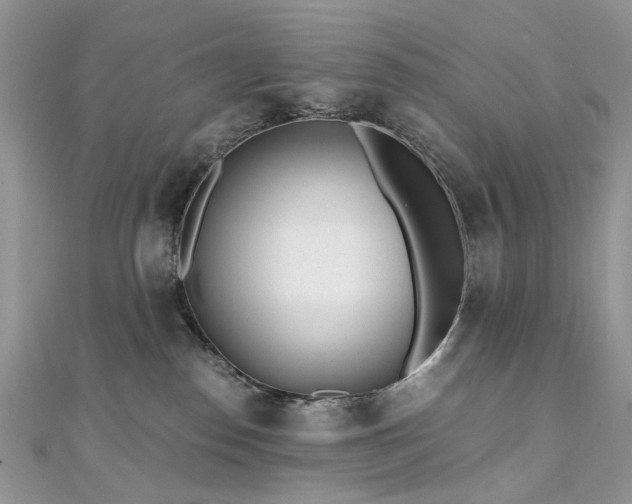 X0000110870186200906181210