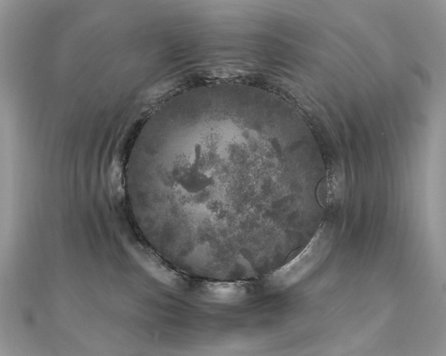 X0000110870187200906181210