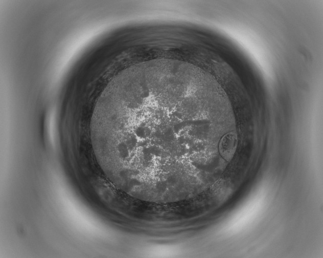 X0000110870189200906181210