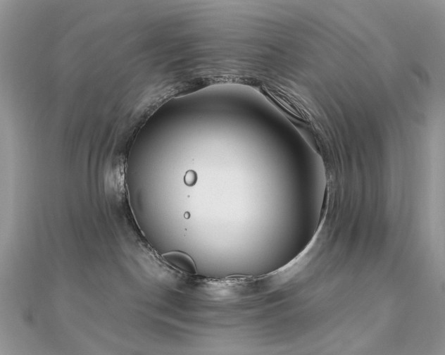 X0000110870190200906181210