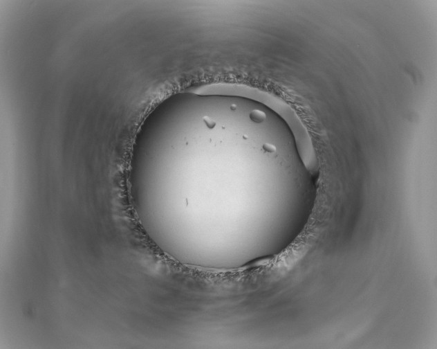 X0000110870192200906181210