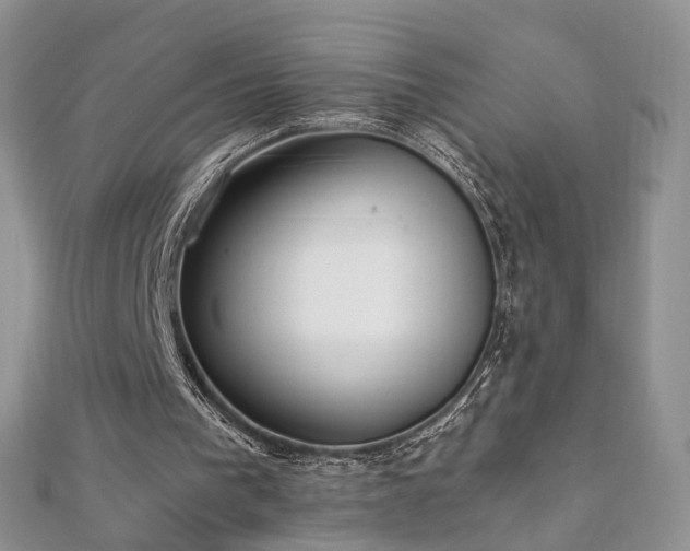 X0000110870193200906181209