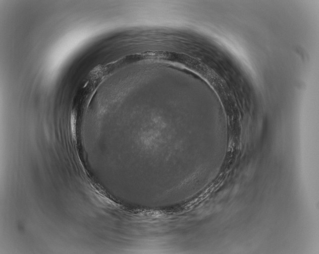 X0000110870195200906181209