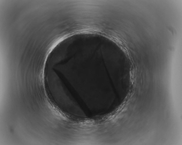 X0000110870196200906181209