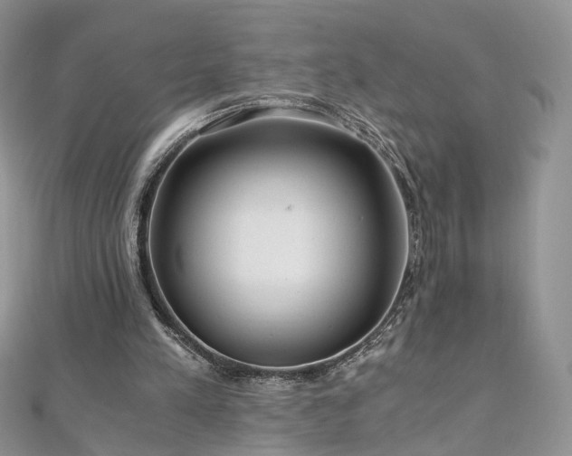 X0000110870197200906181209