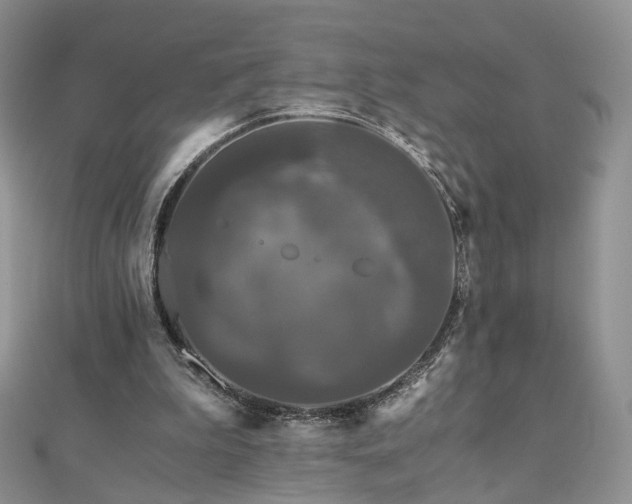 X0000110870199200906181209