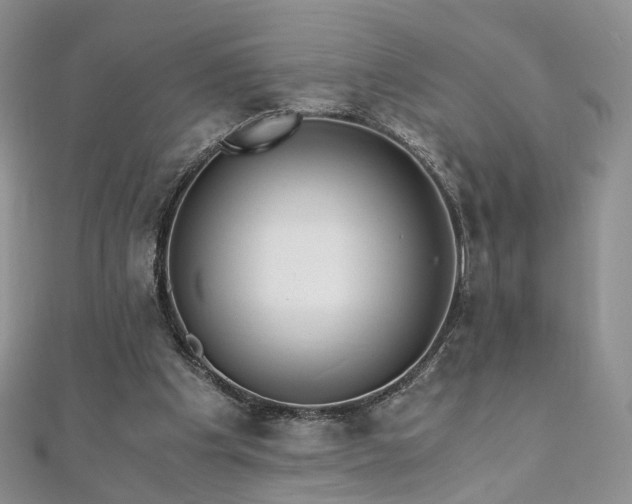 X0000110870201200906181209