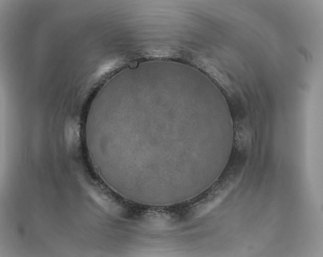 X0000110870207200906181209