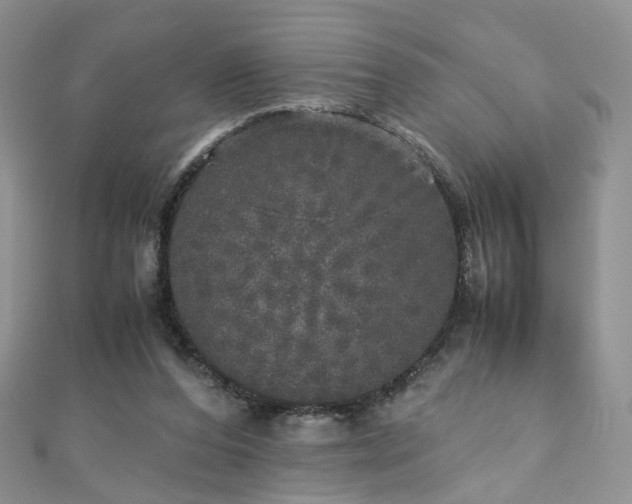 X0000110870208200906181209