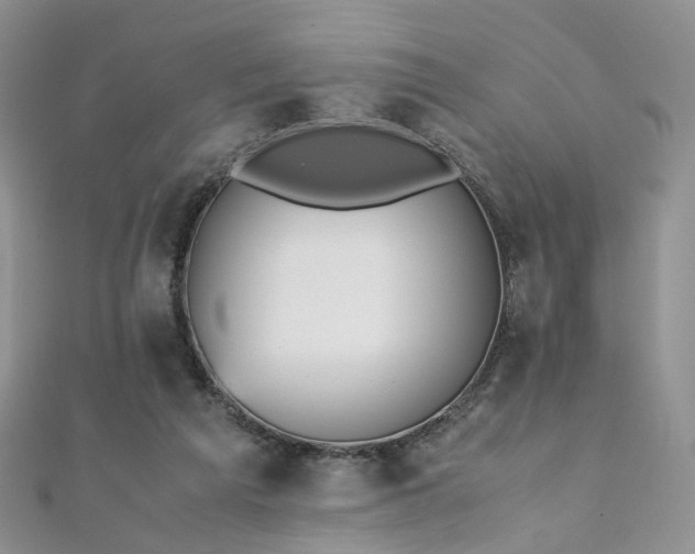 X0000110870209200906181209