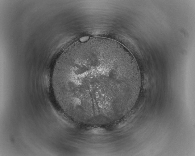 X0000110870210200906181209