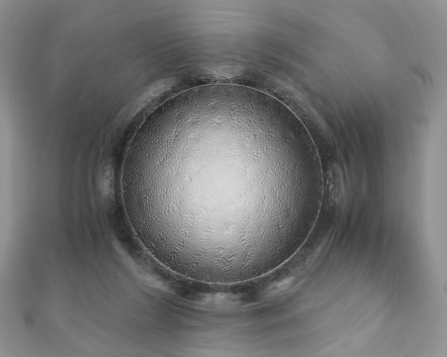 X0000110870212200906181209