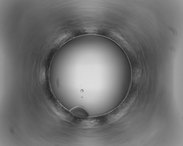 X0000110870213200906181209