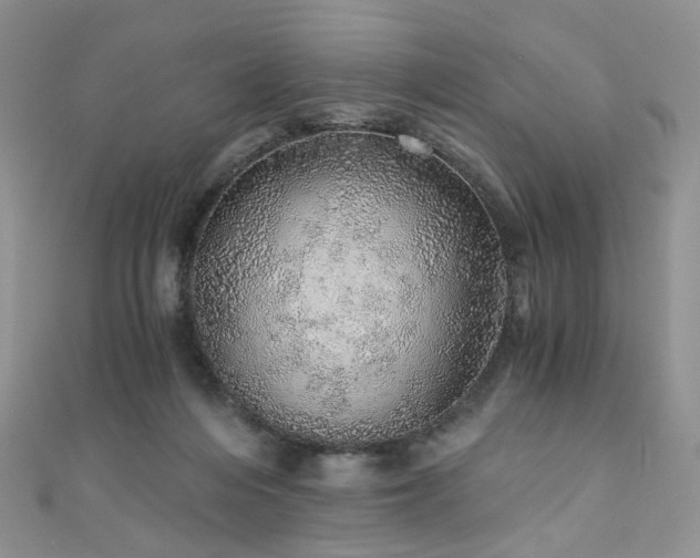 X0000110870216200906181209