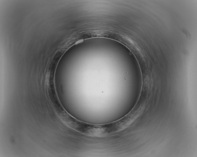 X0000110870217200906181209