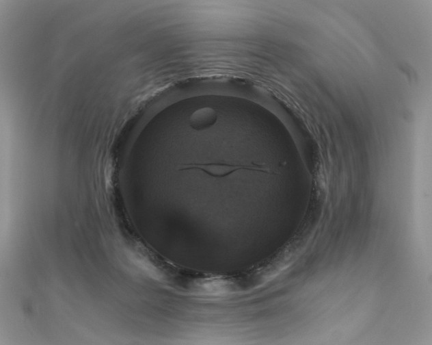 X0000110870219200906181209