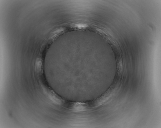 X0000110870222200906181209