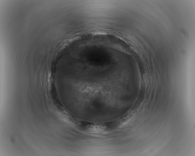 X0000110870223200906181209