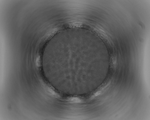 X0000110870224200906181209