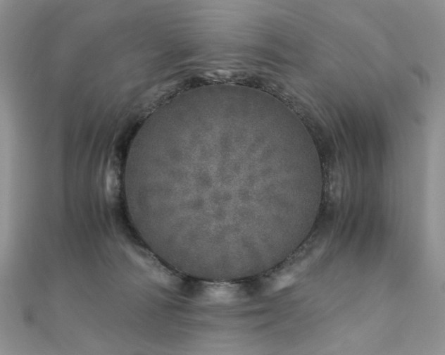 X0000110870226200906181209