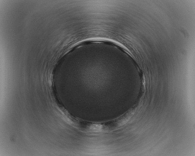 X0000110870227200906181209