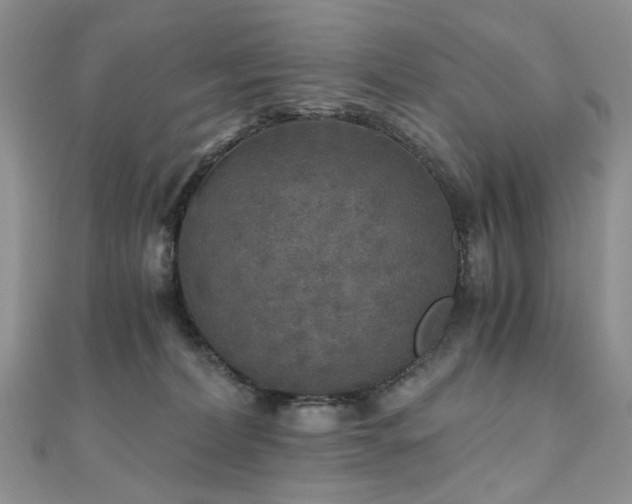 X0000110870228200906181209