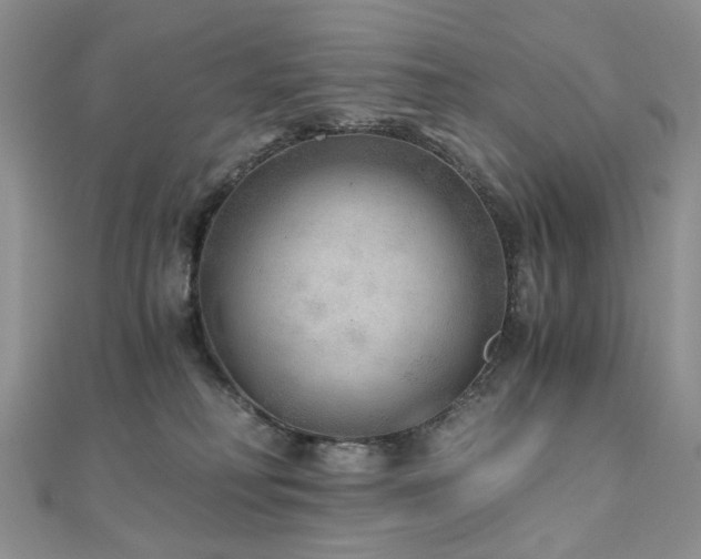 X0000110870230200906181209