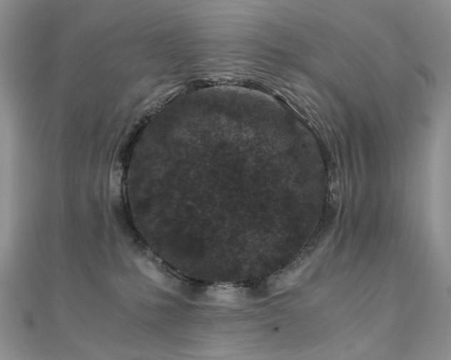 X0000110870231200906181209