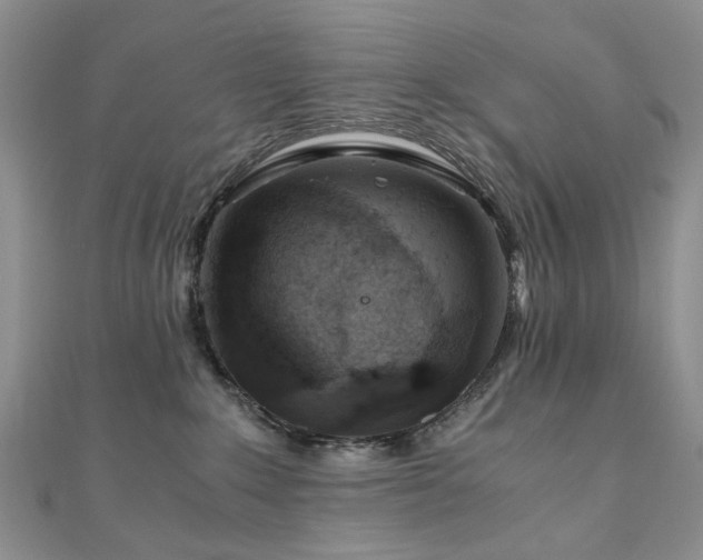 X0000110870235200906181209