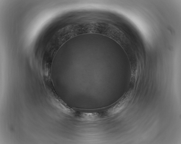 X0000110870239200906181208