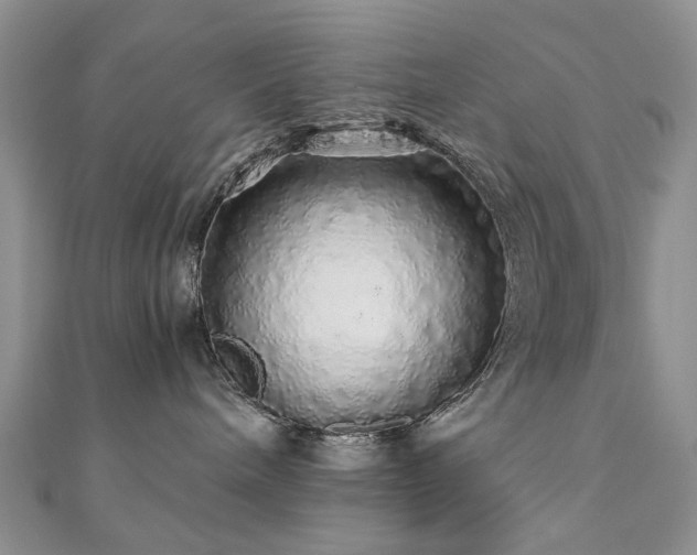 X0000110870240200906181208