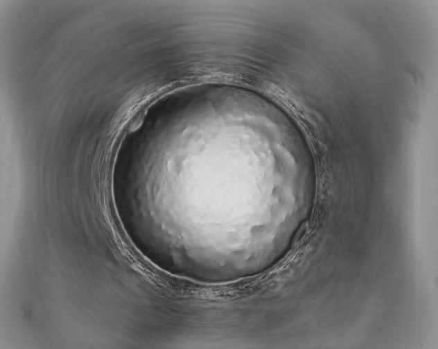 X0000110870241200906181208