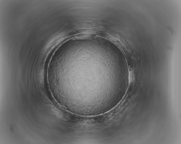 X0000110870243200906181208