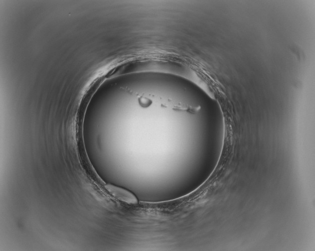 X0000110870244200906181208