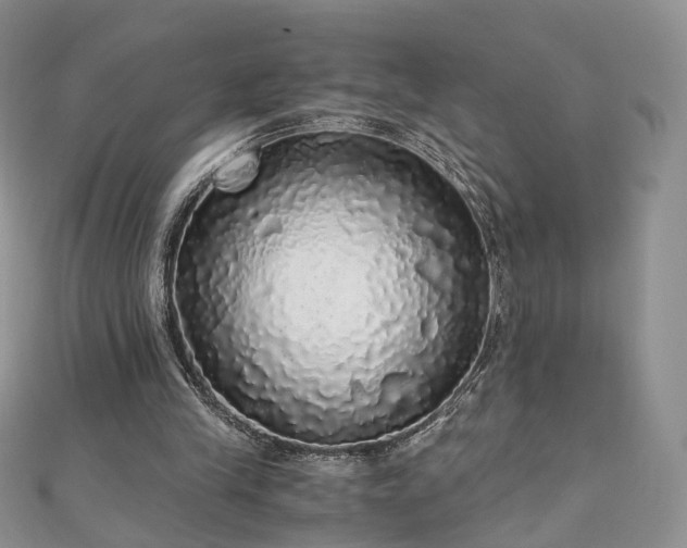 X0000110870245200906181208