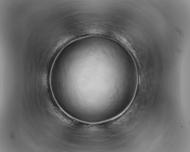 X0000110870249200906181208