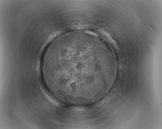 X0000110870250200906181208