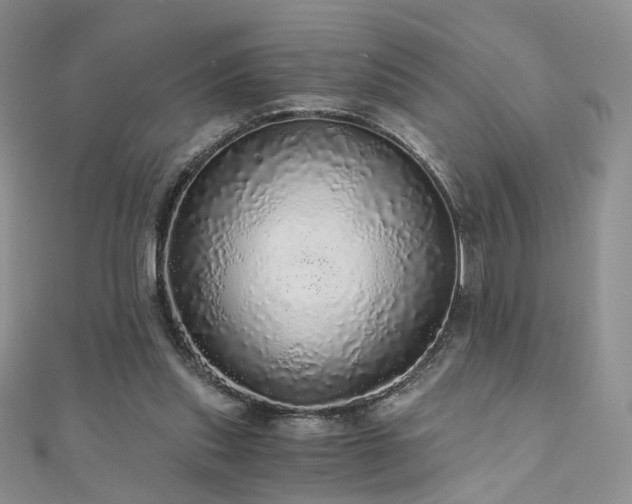 X0000110870253200906181208