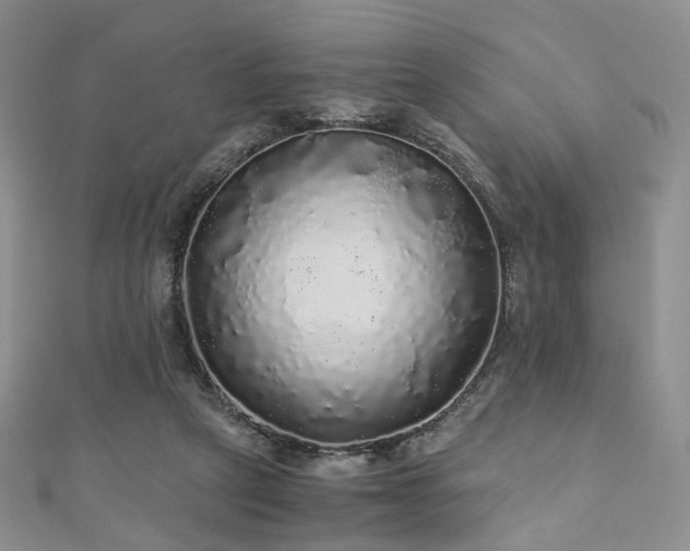 X0000110870257200906181208