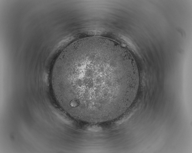 X0000110870258200906181208