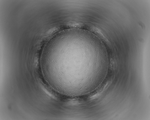 X0000110870259200906181208