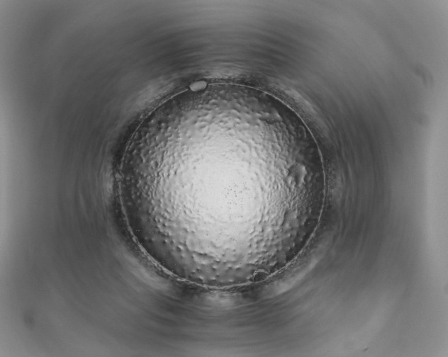 X0000110870261200906181208