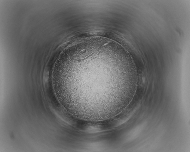 X0000110870263200906181208