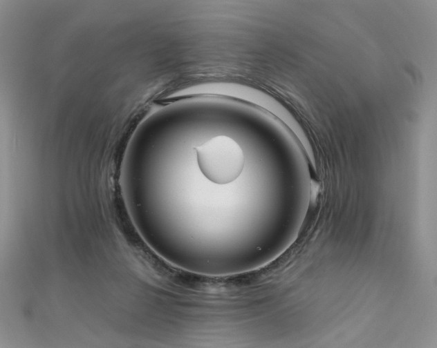 X0000110870264200906181208