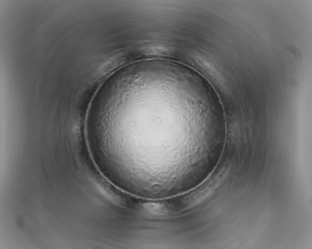 X0000110870265200906181208